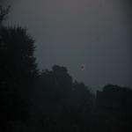 Vraj-Yatra-2014- (1524)